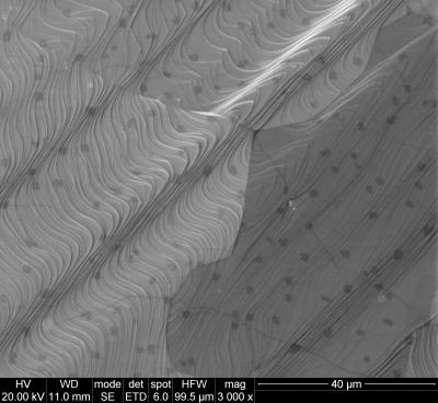 scanning electron microscope image of copper foil fully covered with graphene scanning electron microscope image of copper foil fully covered with graphene